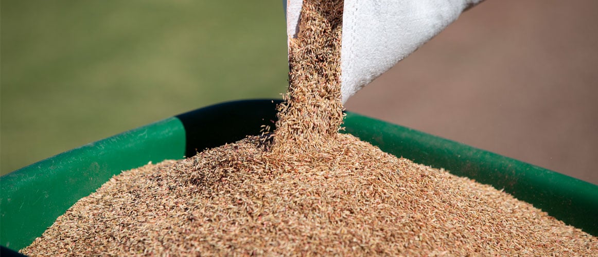ewing-irrigation-your-overseed-season-success-five-tips