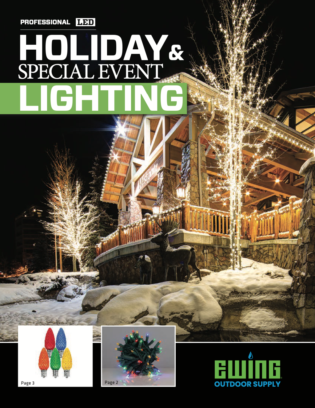 2024 Holiday Lighting Catalog